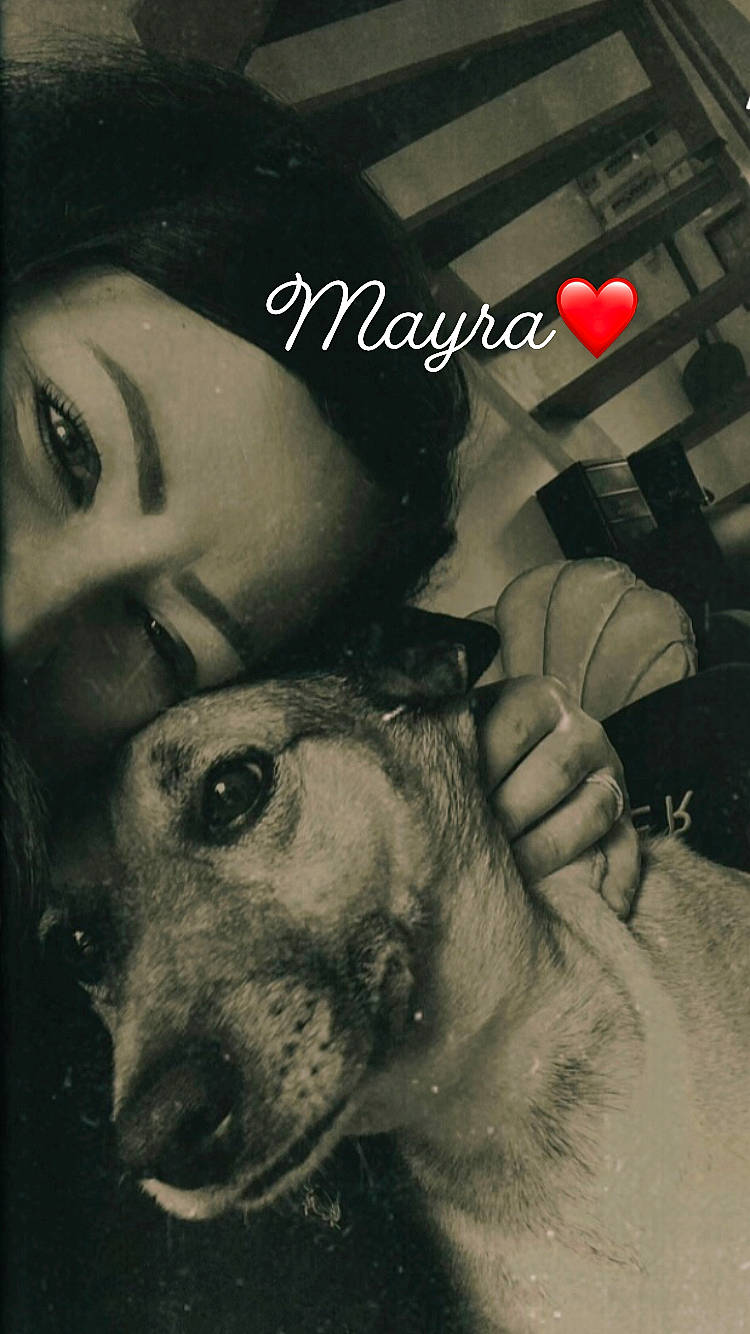 Mayra a rejoint le concours — aidez-le/la à gagner de superbes lots ! carnivore, companion_dog, cool, dog, dog_breed, eyebrow, eyelash, flash_photography, gesture, hand, happy, human, jaw, mouth, nose, selfie, smile, snout, whiskers, working_animal