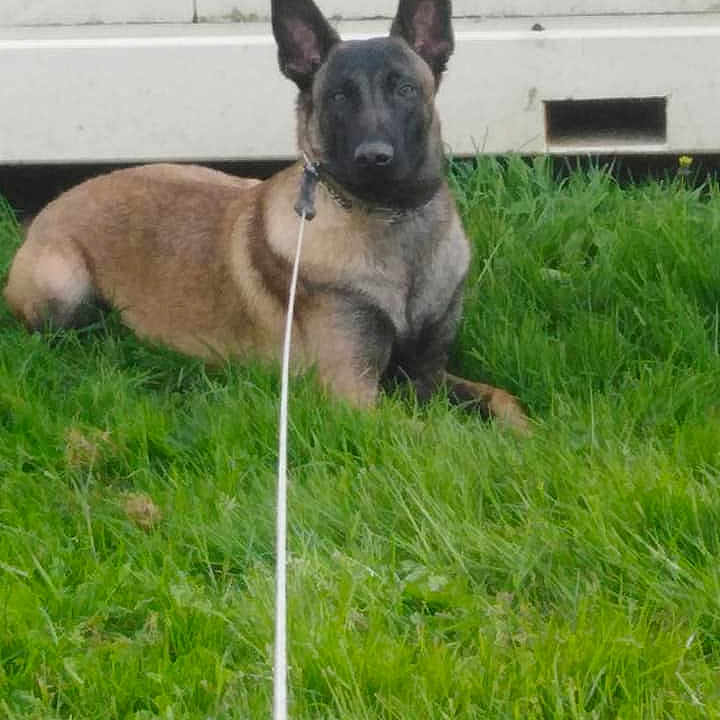 Nèmèsis Au Paradis D'Orsy