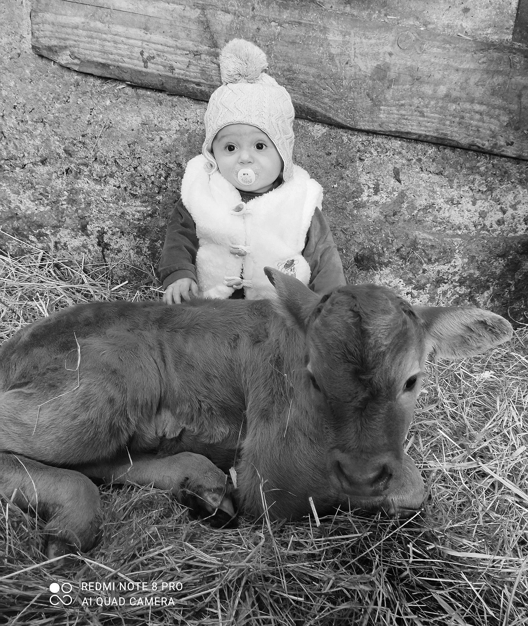 Mao participe au concours pour gagner de l'argent avec cette photo : baby, child, domestic_pig, fur, grass, happy, headwear, landscape, livestock, mammal, monochrome, monochrome_photography, person, photograph, plant, snout, suidae, terrestrial_animal, toddler, white