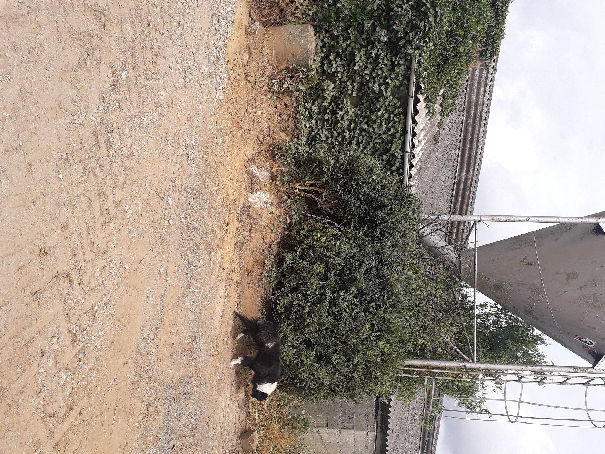 Hulk participe au concours pour gagner de l'argent avec cette photo : building, concrete, electrical_supply, electricity, facade, geological_phenomenon, house, landscape, overhead_power_line, plant, public_utility, sky, slope, tree, trunk, twig, urban_design, window, wire, wood