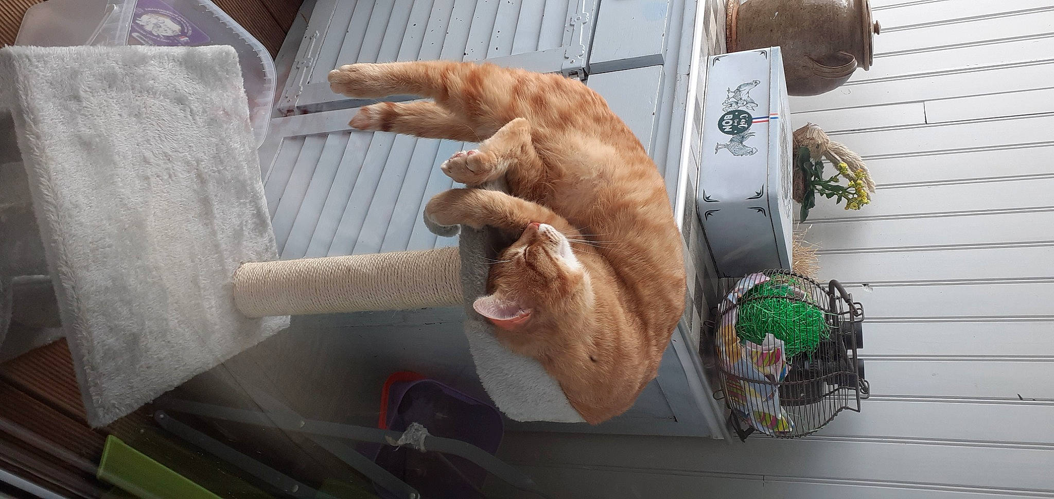 Ramssess a rejoint le concours — aidez-le/la à gagner de superbes lots ! blood_vessel, comfort_food, electrical_wiring, finger, flesh, fur, gesture, hand, machine, metal, nail, service, thumb, vein, wood, wrinkle, wrist