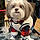 Micky