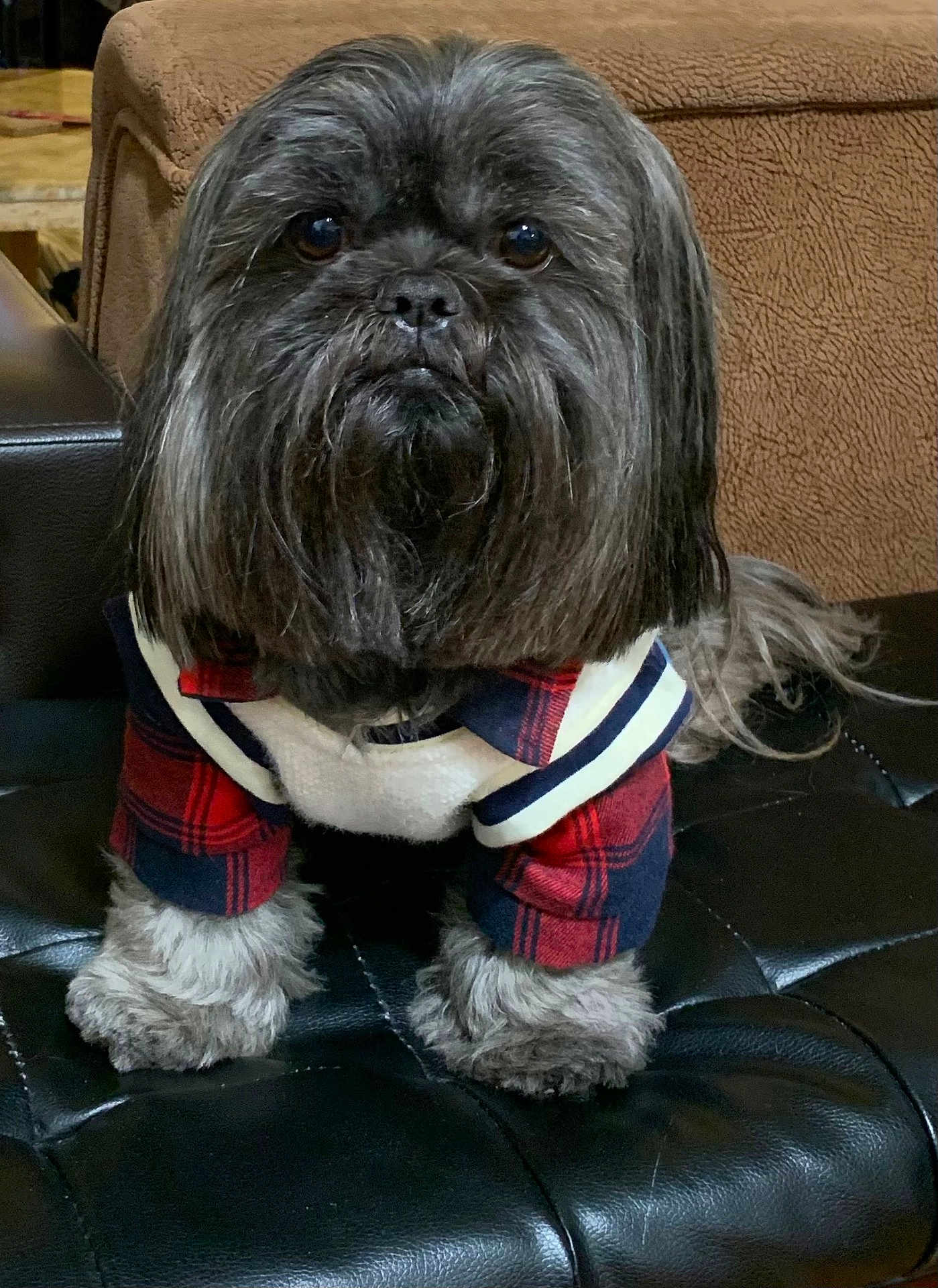 Muneco