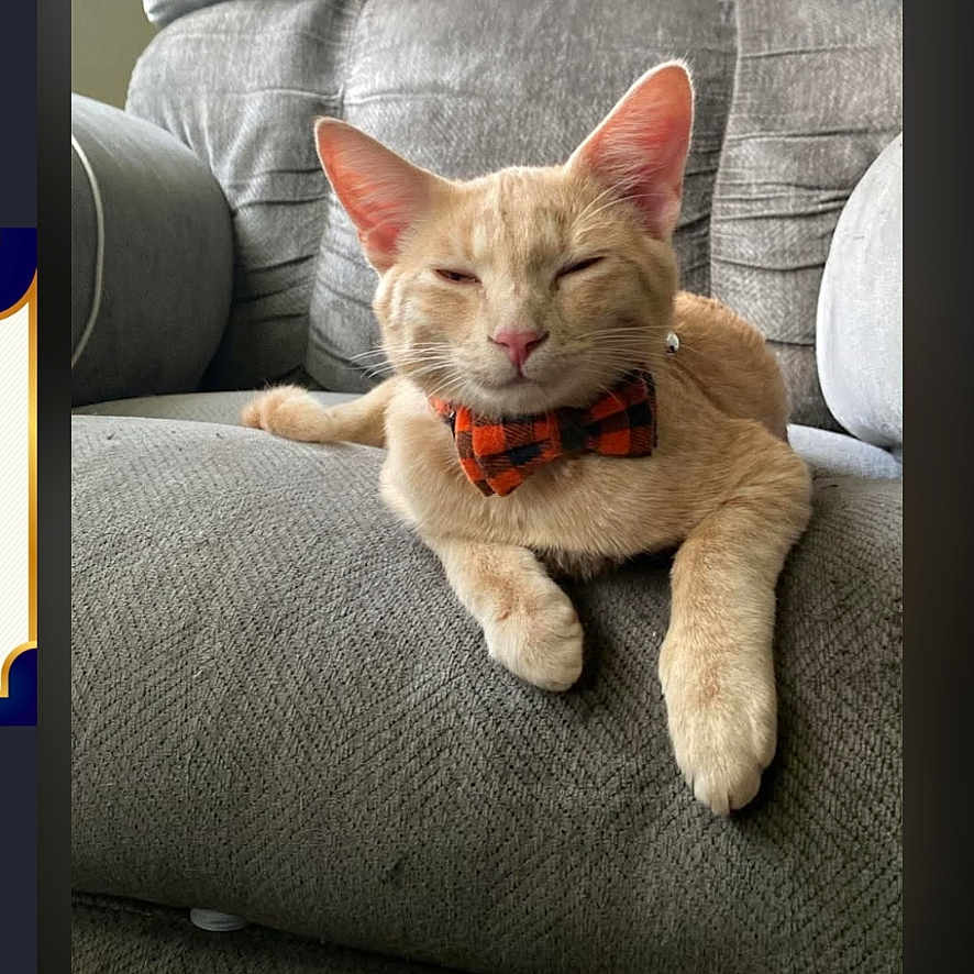 Tigger
