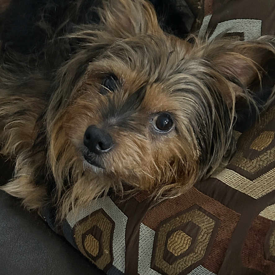 Paco