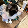 Moomoo is registered to the contest to win money with this photo: cat, black_and_white, feline, pet, shirt, curious, whiskers, table, indoor, household, tile_floor, toy, lego, trash_bin, domestic, fur, close_up, side_view, animal, cute