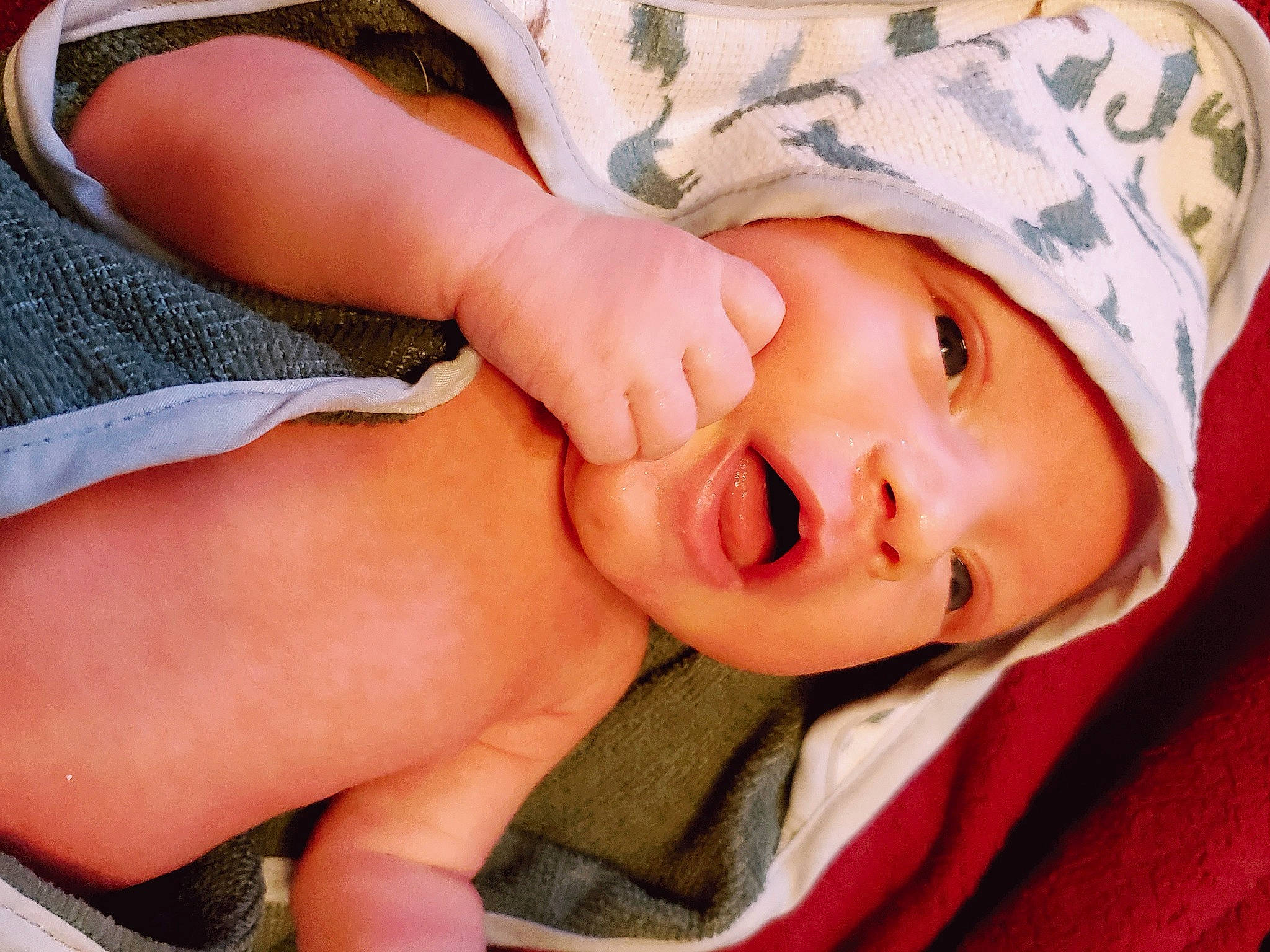 Vallenhall is registered to the contest to win money with this photo: baby, baby_toddler_clothing, cheek, comfort, elbow, eye, eyelash, finger, gesture, grass, happy, hat, headwear, lip, mouth, muscle, nose, person, skin, smile