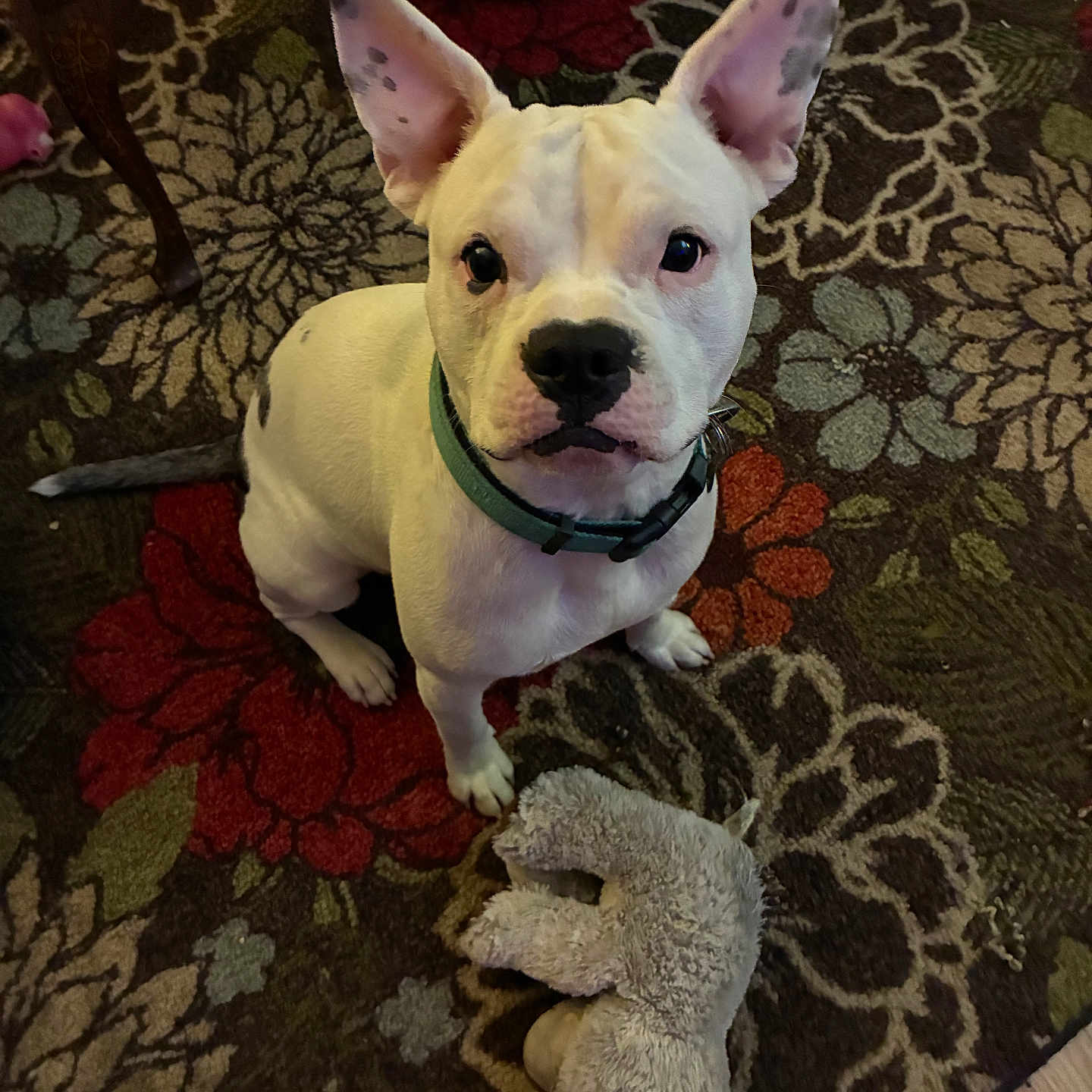 Diesel