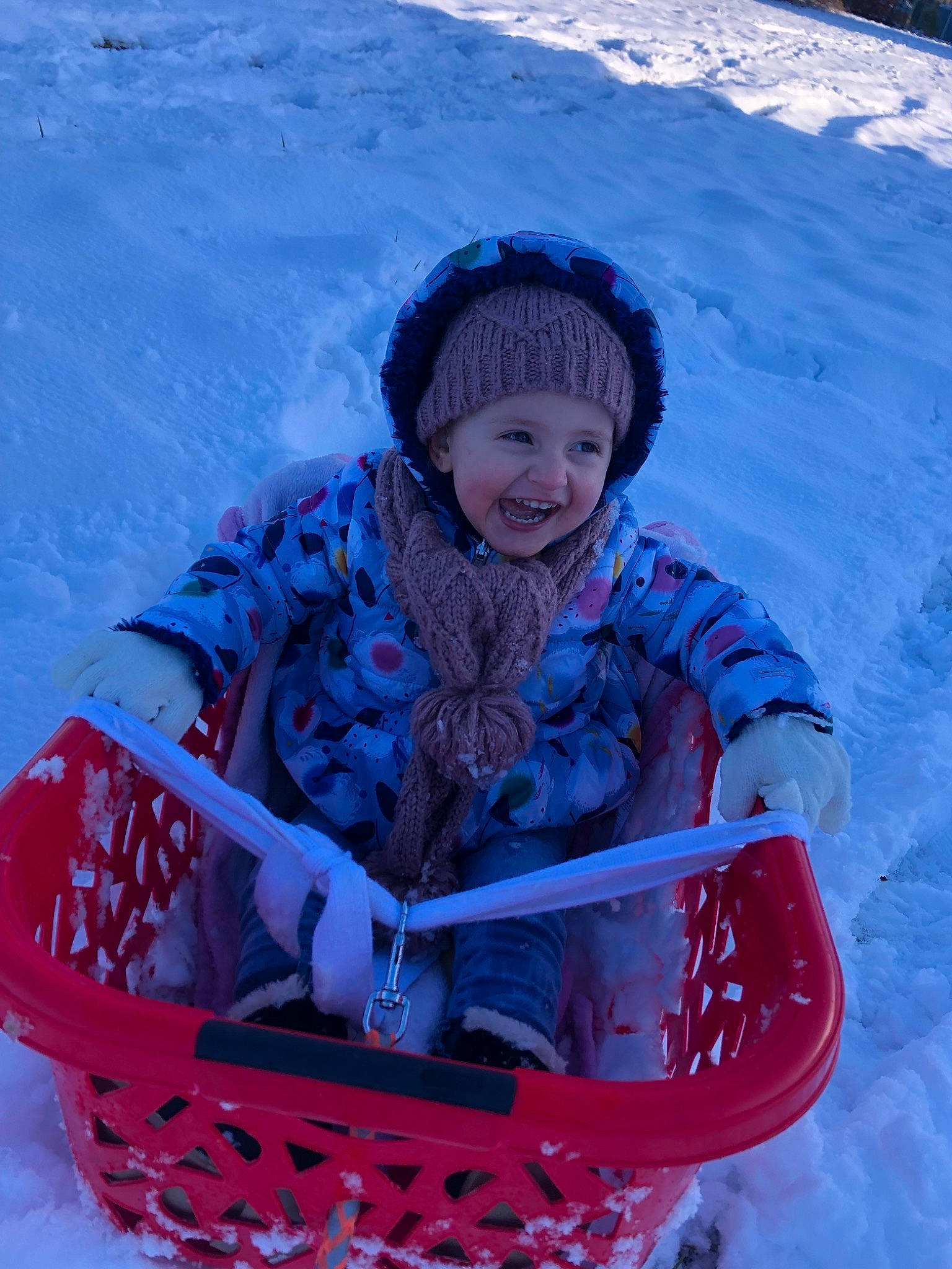 Héloïse participe au concours pour gagner de l'argent avec cette photo : basket, child, fun, joy, person, play, playing_in_the_snow, recreation, sled, sledding, smile, snow, vehicle, winter