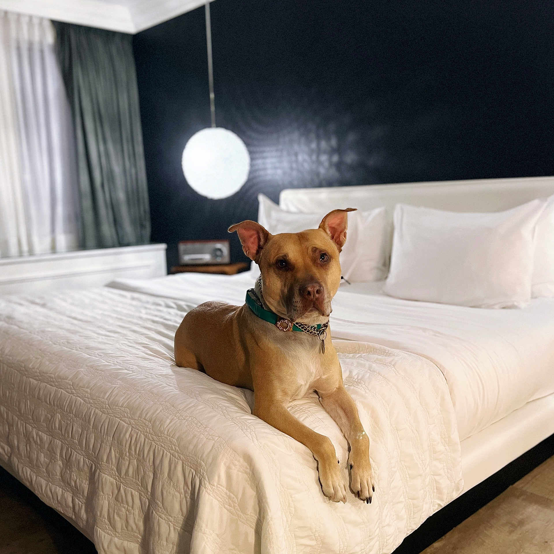 Theodore
