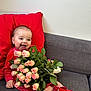 architecture, baby, building, couch, cushion, face, flower, flowerarrangement, flowerbouquet, furniture, head, homedecor, leaf, person, petal, photography, plant, portrait, pottedplant, rose
