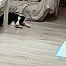 dog, black_and_white, lying_down, floor, wooden_floor, table, white_table, couch, beige_sheet, indoor, relaxed, pet, animal, quiet, resting, home, living_room, domestic, furniture, cozy