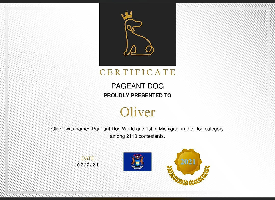 Oliver is registered to the contest to win money with this photo: advertising, brand, circle, electric_blue, font, graphic_design, graphics, label, logo, multimedia, pattern, rectangle, screenshot