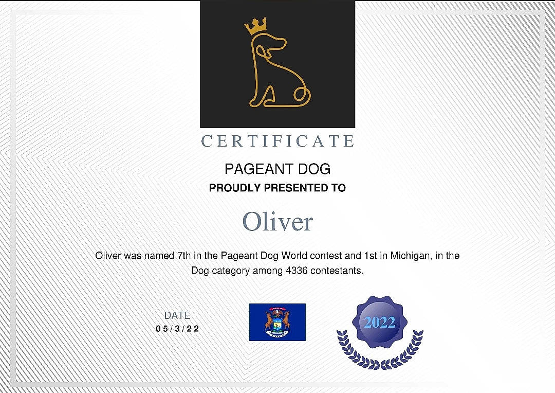 Oliver is registered to the contest to win money with this photo: brand, circle, electric_blue, font, graphic_design, graphics, logo, parallel, pattern, rectangle, screenshot