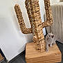 Anoukis participe au concours pour gagner de l'argent avec cette photo : cat, kitten, scratching_post, woven, cactus_shape, wooden_base, indoor, floor, wall, armchair, curious, pet, animal, gray_cat, furniture, flooring, home, playful, paw, texture