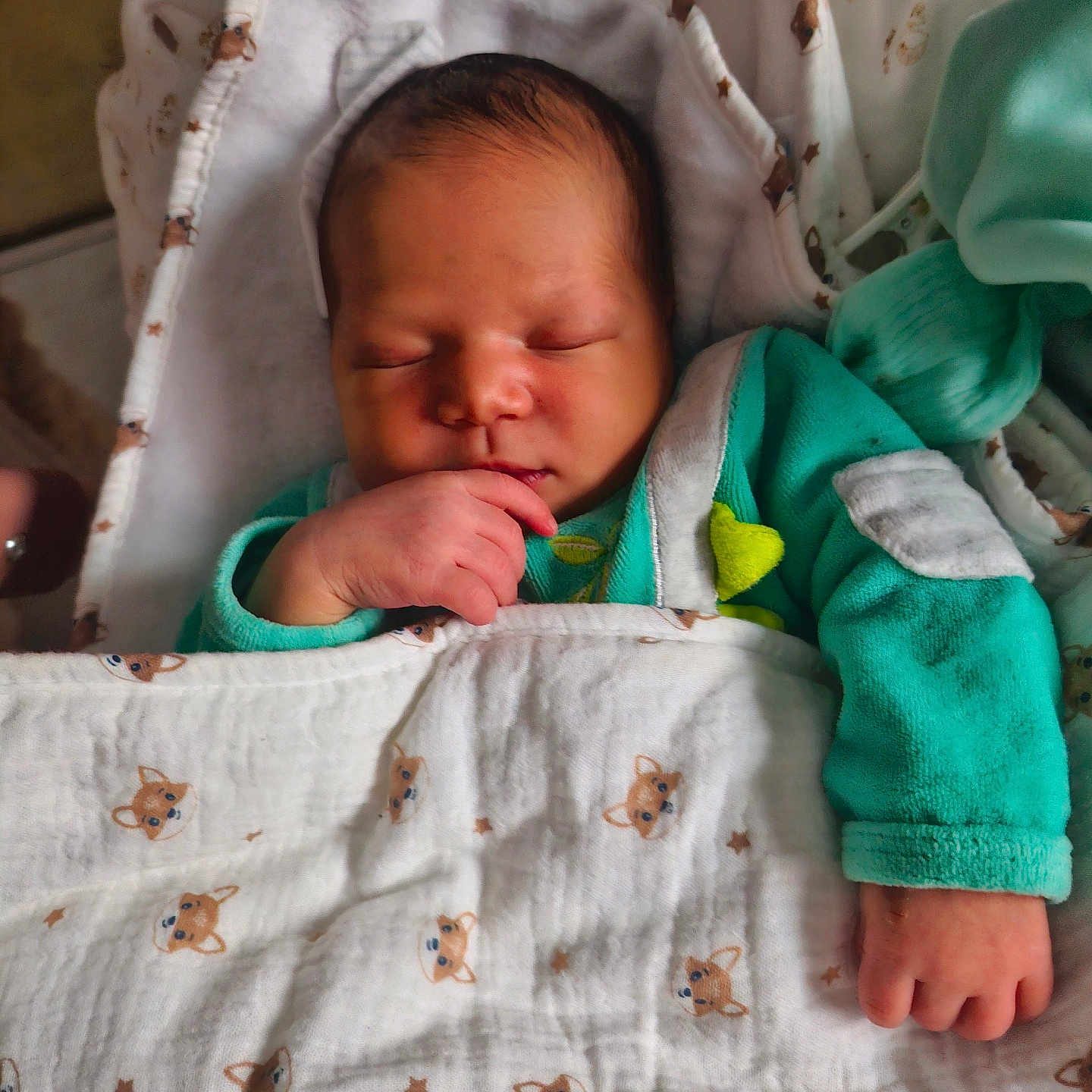 Tywenn participe au concours pour gagner de l'argent avec cette photo : animal_print, baby, blanket, child, cozy, cute, cute_pattern, face, hand, indoors, infant, newborn, peaceful, portrait, resting, sleeping, soft, teal_clothing, toddler, wrapped