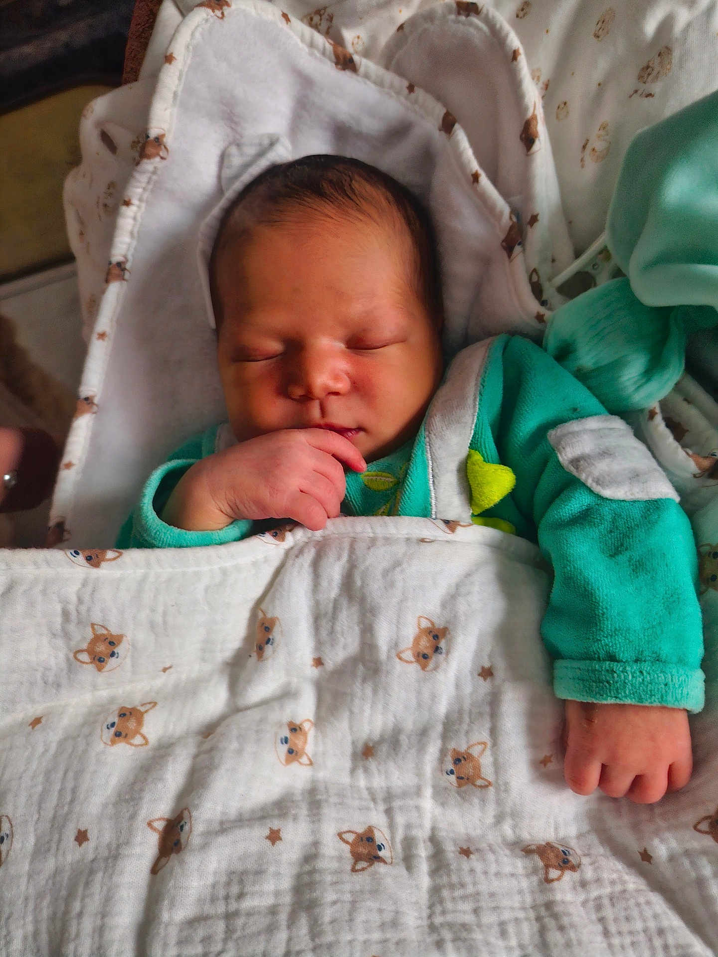 Tywenn participe au concours pour gagner de l'argent avec cette photo : newborn, baby, sleeping, blanket, cute, face, hand, cozy, teal_clothing, wrapped, infant, peaceful, indoors, soft, child, portrait, resting, cute_pattern, animal_print, toddler