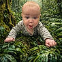 baby, infant, forest, greenery, plants, nature, crawling, curious, outdoor, moss, leaves, trees, child, exploration, young, cute, portrait, wide_eyes, expression, daylight