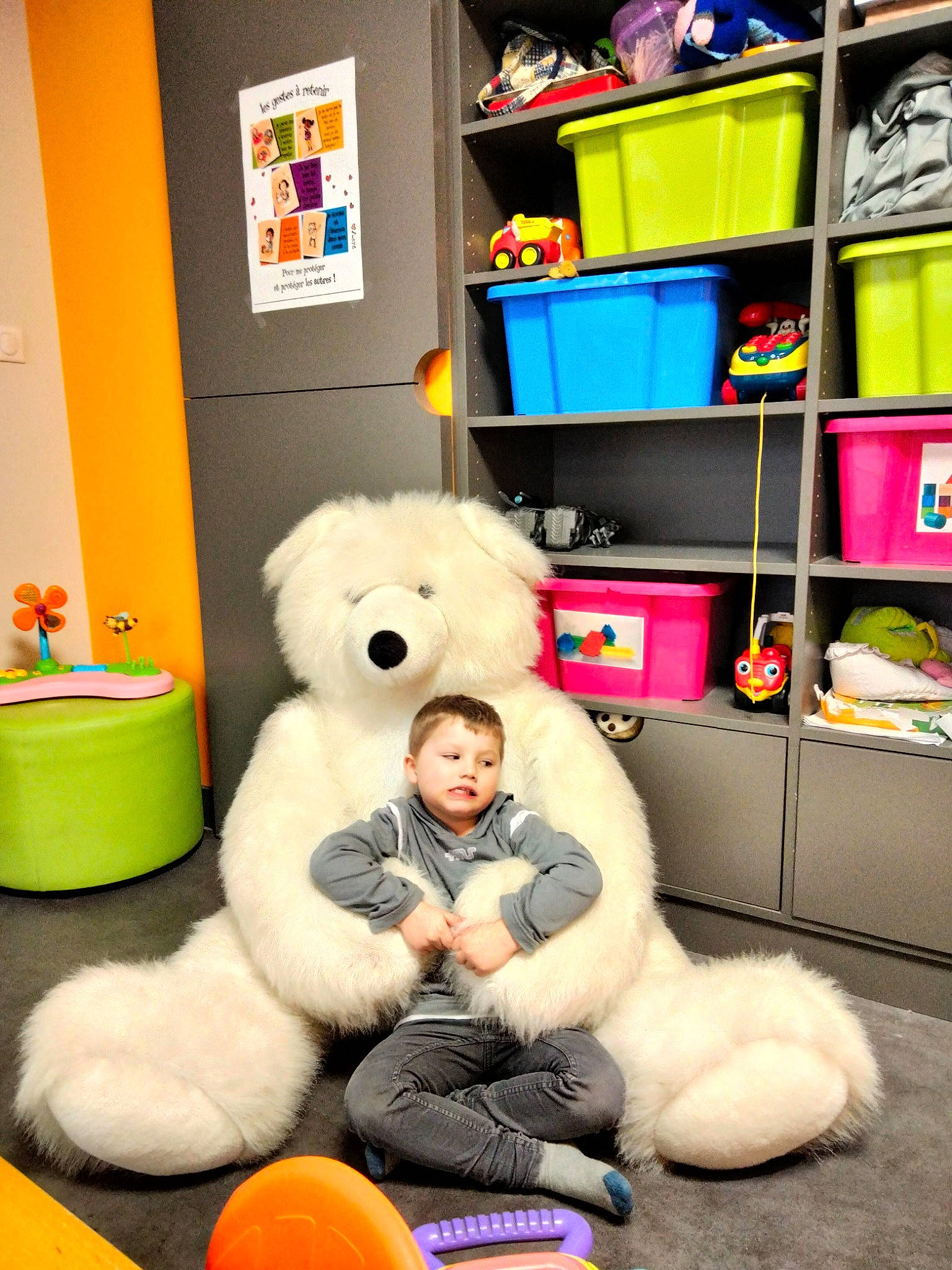 Julien participe au concours pour gagner de l'argent avec cette photo : baby_toys, bookcase, child, collection, companion_dog, fun, fur, person, plush, room, shelf, shelving, snapshot, stuffed_toy, teddy_bear, textile, toy, yellow