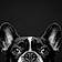 Finley Mcrae