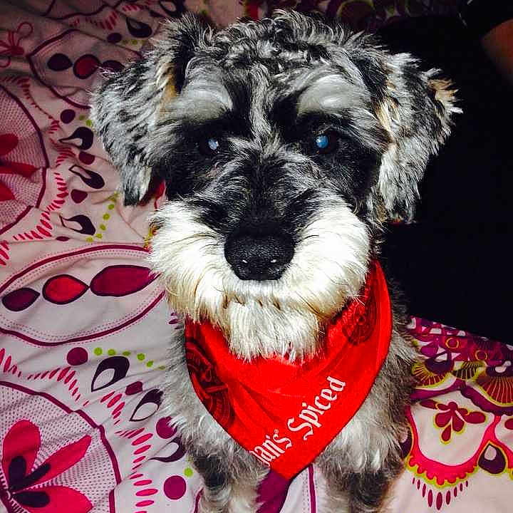 Bodie is registered to the contest to win money with this photo: