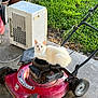 Nieve is registered to the contest to win money with this photo: cat, white_cat, lawnmower, red_lawnmower, outdoor, grass, garden, potted_plants, concrete, wheel, handle, animal, pet, sitting, fluffy, machine, nature, daylight, relaxed, quiet