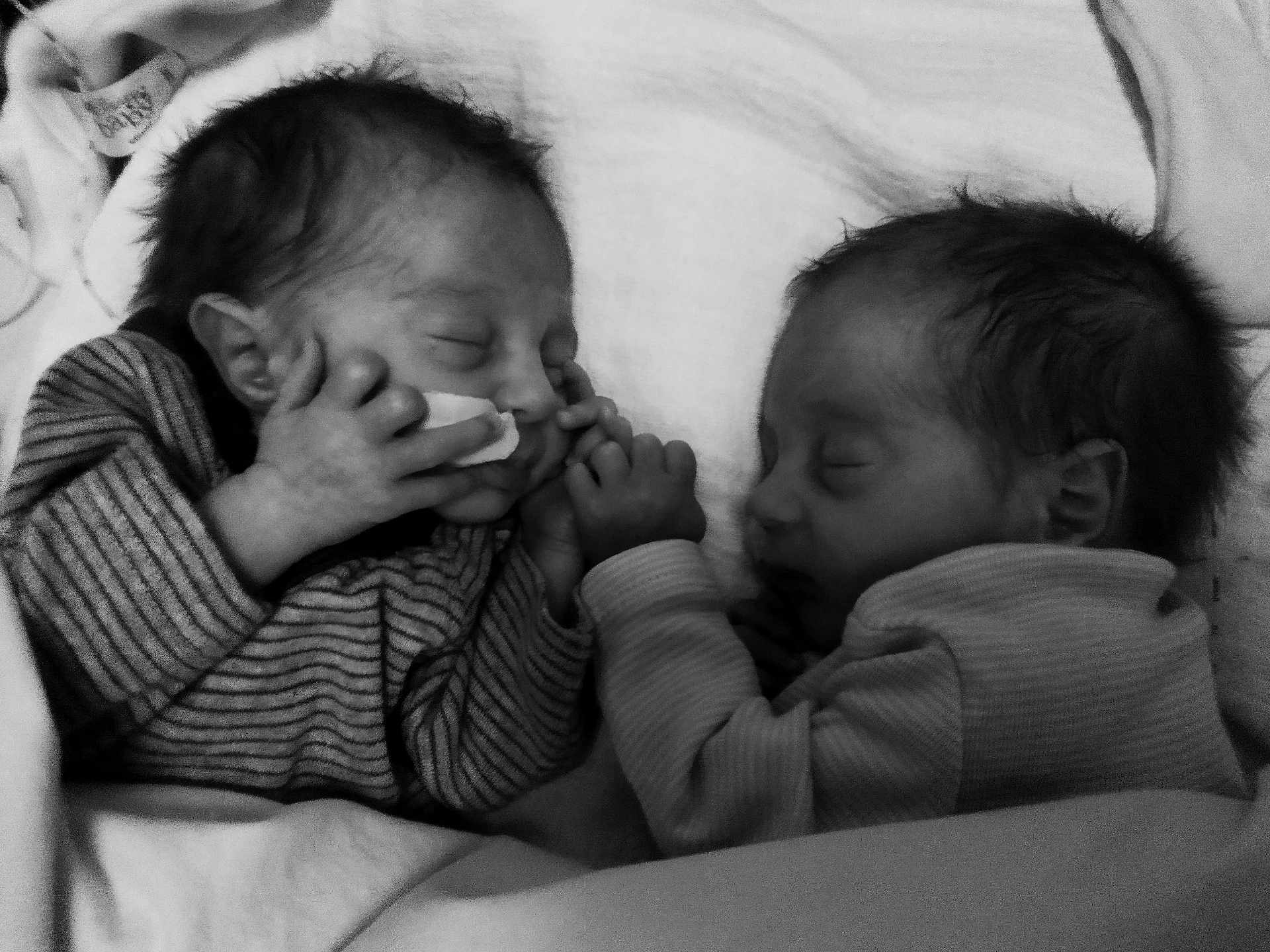 Gabriel Et Michaël participe au concours pour gagner de l'argent avec cette photo : newborn, baby, sleeping, infant, black_and_white, hand_holding, bed, blanket, cute, peaceful, portrait, face, child, twin, soft_lighting, cozy, clothing, rest, family, love
