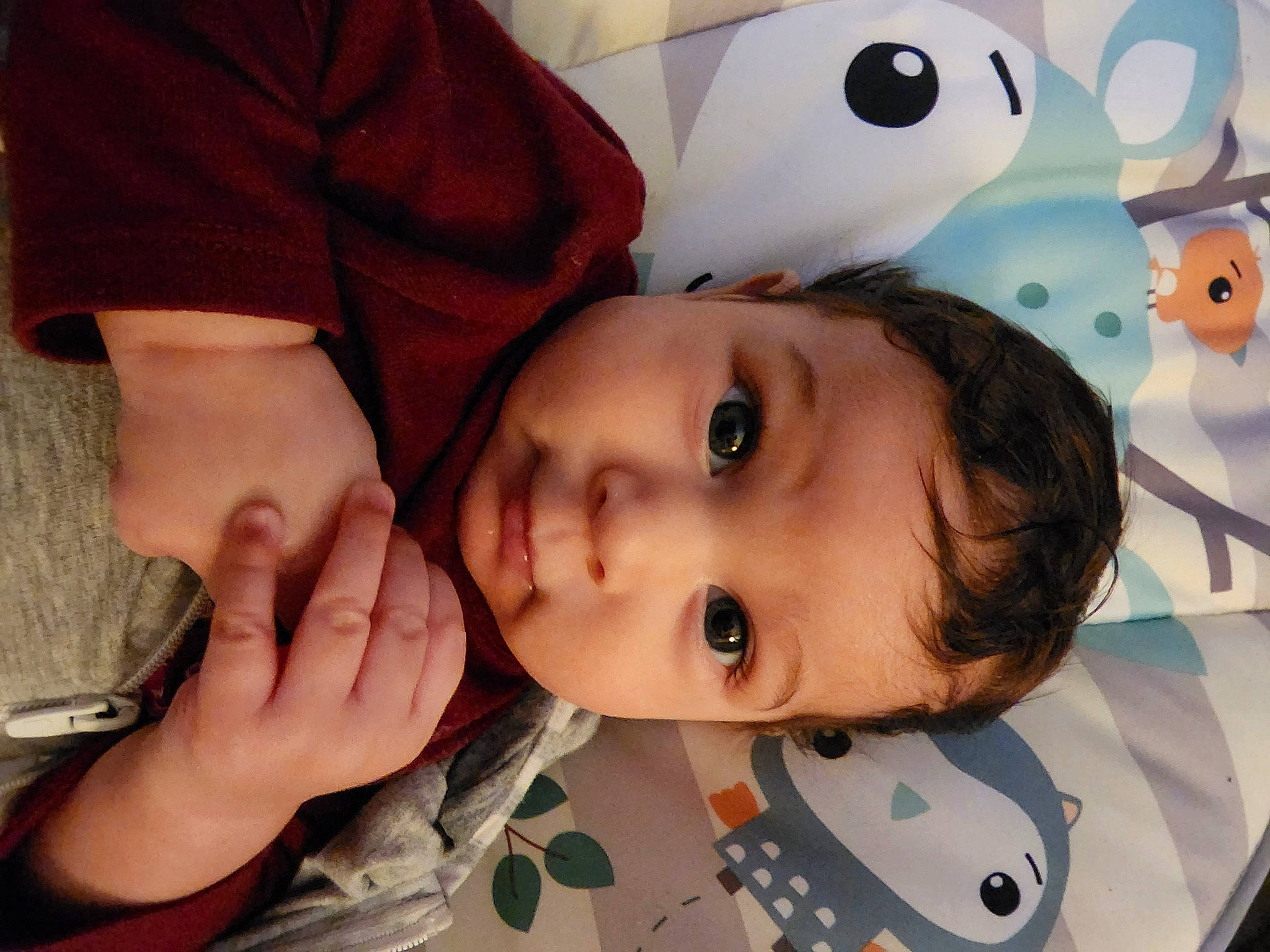 Ayla joined the competition — help win amazing prizes! baby, cheek, child, eyebrow, eyelash, fun, gesture, happy, head, mammal, mouth, nose, organ, pattern, person, skin, smile, stuffed_toy, toddler, tree