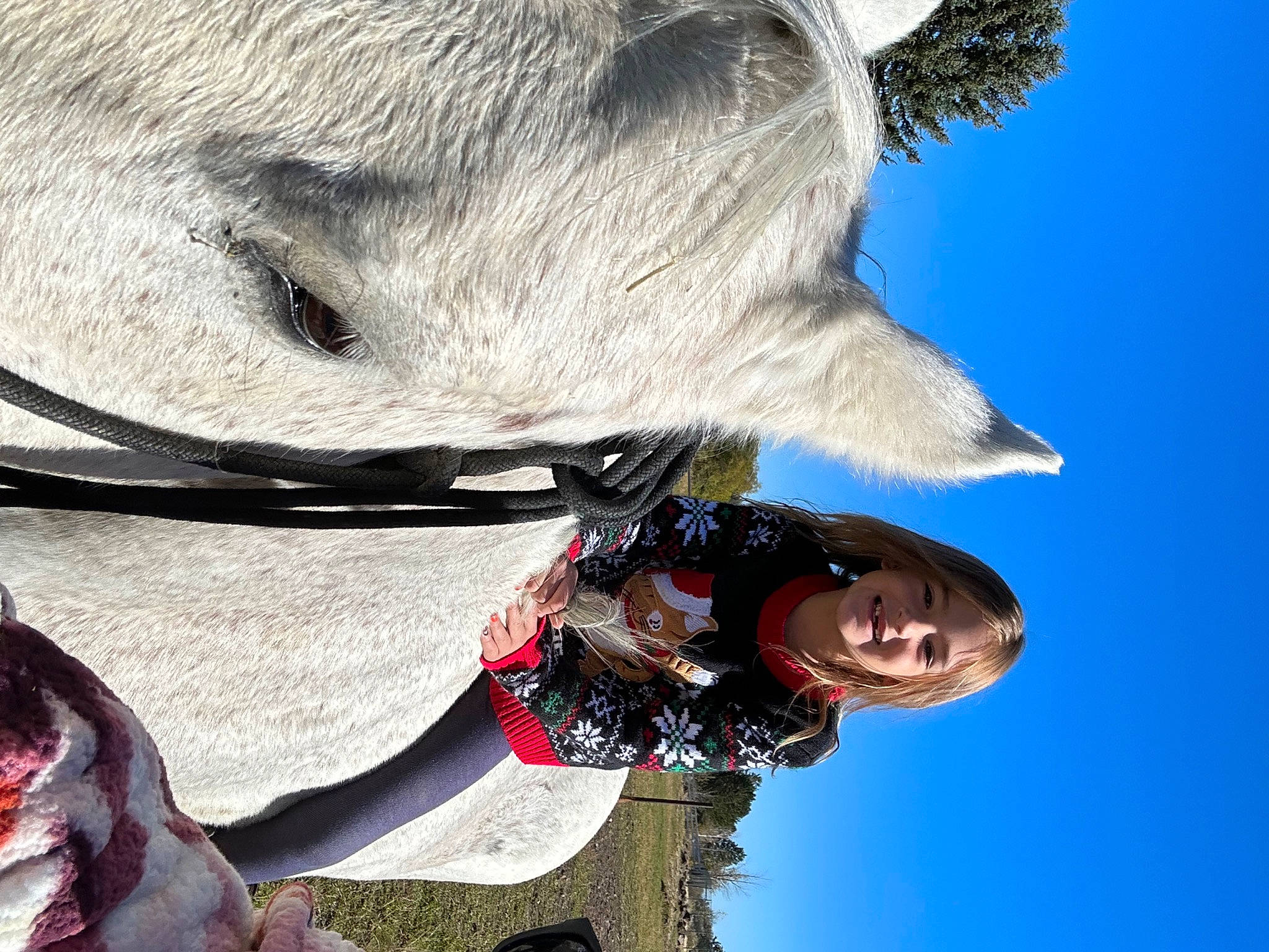 Adelynn joined the competition — help win amazing prizes! adventure, bridle, carmine, extreme_sport, eyewear, fun, fur, happy, joy, leisure, person, personal_protective_equipment, recreation, sky, smile, sport_climbing, vertebrate, winter, working_animal