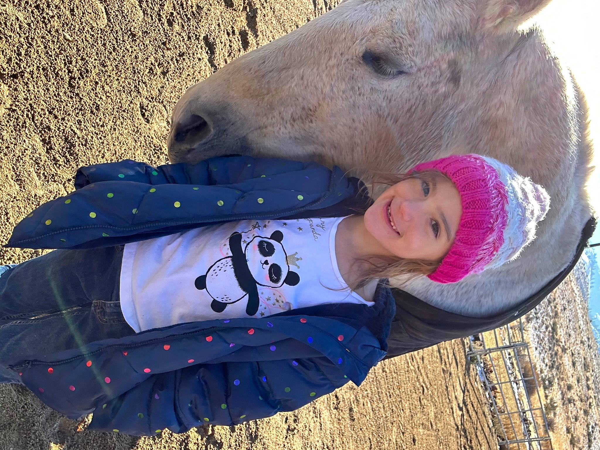 Adelynn is registered to the contest to win money with this photo: cap, child, electric_blue, fashion_accessory, fun, fur, grass, happy, hat, headwear, joy, landscape, livestock, pattern, people_in_nature, person, sleeve, toddler, travel, tree