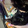 black_cat, cat, pet, indoor, person, hand, mirror, dresser, bottles, long_hair, hello_kitty, ring, relaxed, close_up, furniture, skin, nail_polish, reflection, room, casual