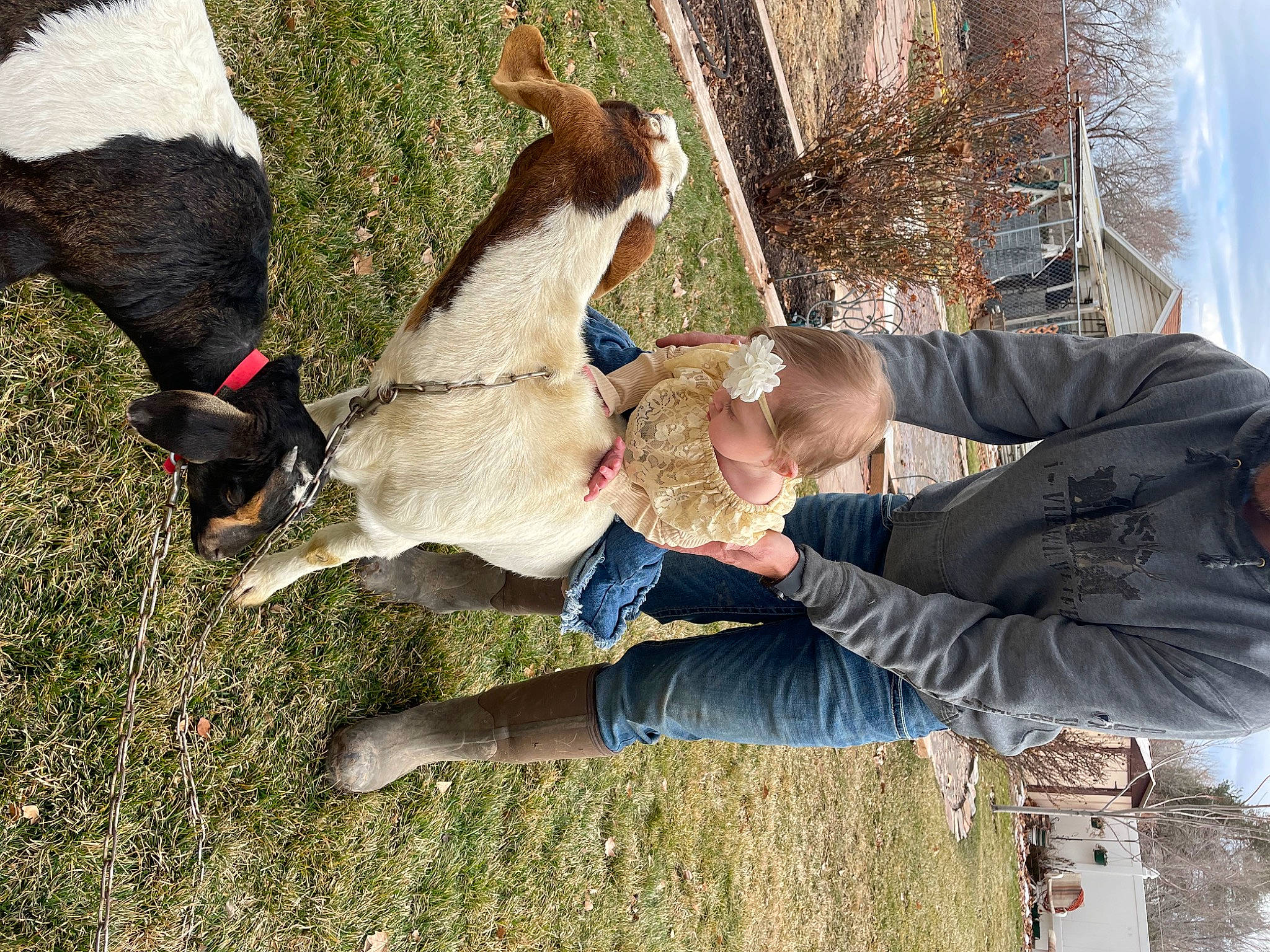 Leona is registered to the contest to win money with this photo: canidae, child, companion_dog, dog_breed, fun, fur, grass, happy, leash, leisure, livestock, pasture, people_in_nature, person, plant, recreation, sporting_group, tail, tree, winter