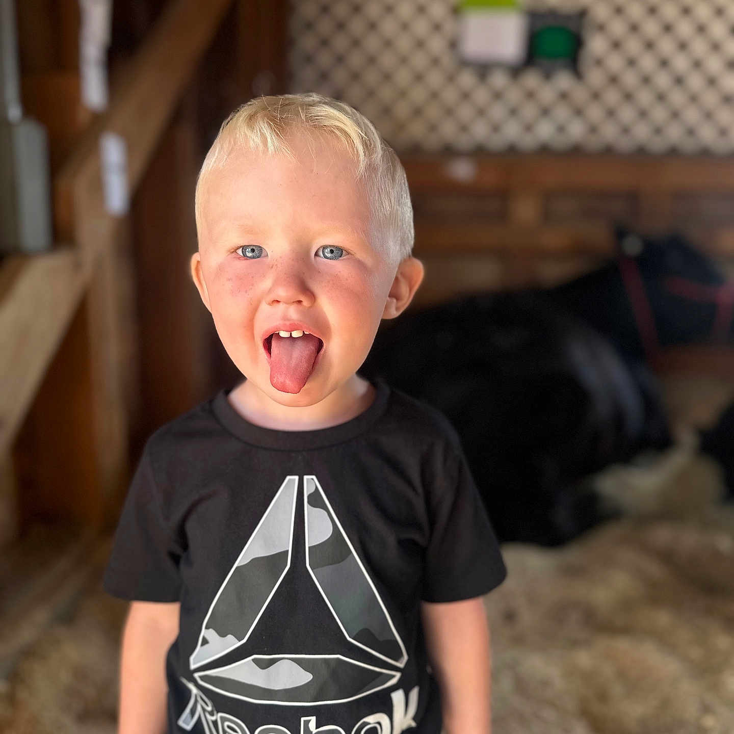 Axle is registered to the contest to win money with this photo: ball, bodypart, boy, child, clothing, face, football, head, male, mouth, pants, person, photography, portrait, soccer, soccerball, sport, t_shirt, teeth, wood