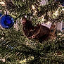 cat, christmas_tree, ornament, blue_ornament, lights, black_cat, holiday, decorations, pine_needles, indoor, curious, animal, pet, festive, closeup, greenery, nature, tree_branch, whiskers, eyes