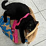 black_cat, cat, pet, animal, burlap_bag, floor_tile, green_eyes, playful, curious, indoor, cozy, feline, domestic_animal, pink_strap, blue_pattern, lying_down, whiskers, tail, paws, texture