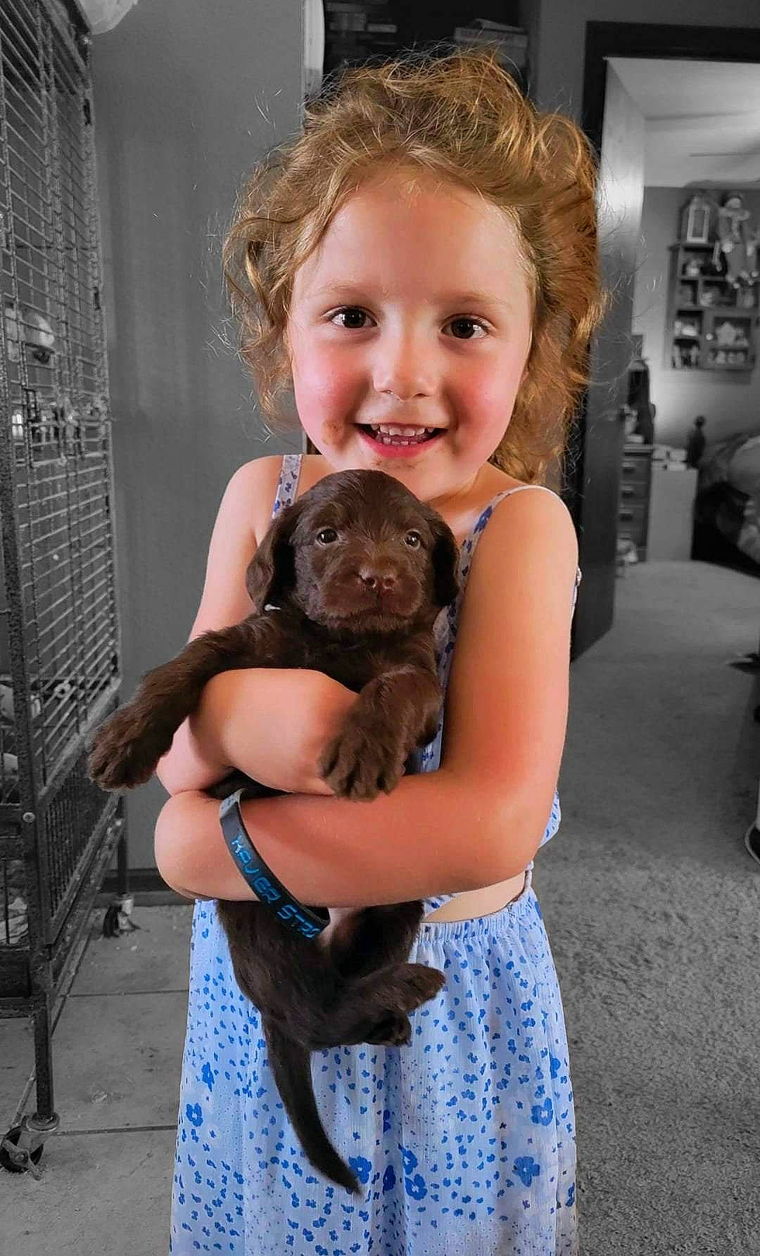 Winston joined the competition — help win amazing prizes! blond, brown_hair, carnivore, child, companion_dog, dog, dog_breed, electric_blue, event, fawn, flooring, fur, happy, joint, picture_frame, shoulder, sitting, smile, thigh, toddler