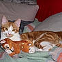 animal, blanket, cat, comfort, cozy, cushion, cute, domestic_cat, feline, indoor, lying_down, orange_cat, pet, plush_toy, relaxed, resting, soft_toy, striped, stuffed_animal, white_cat