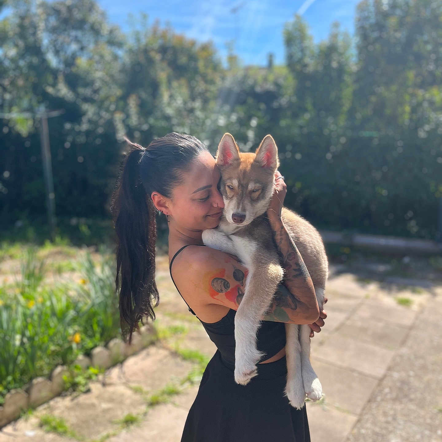 A-Sept participe au concours pour gagner de l'argent avec cette photo : affection, blue_sky, dog, ears, face, fence, garden, hugging, outdoor, pavement, person, plants, ponytail, portrait, puppy, skirt, smile, sunlight, sunrays, tattoo
