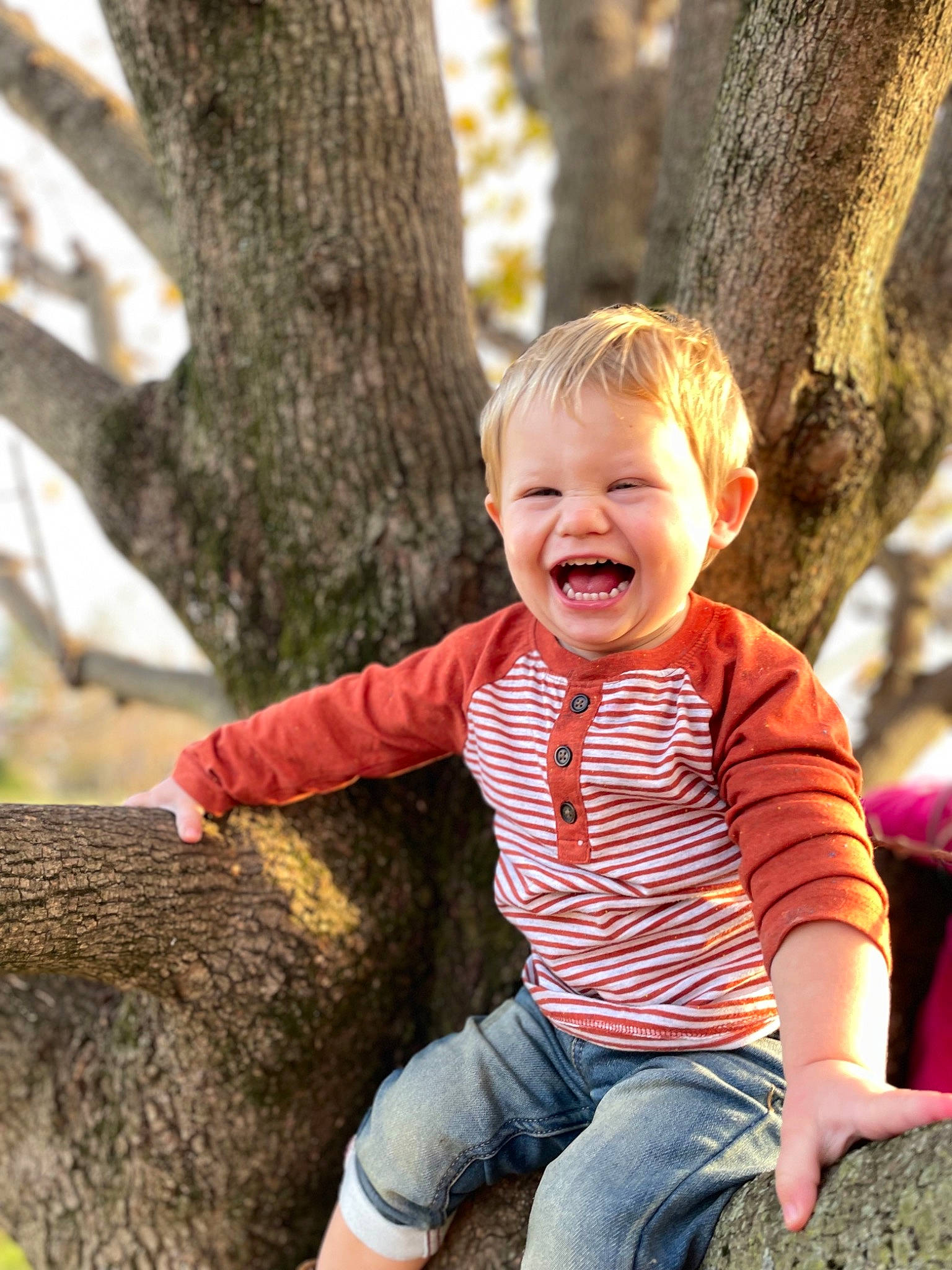 Layton is registered to the contest to win money with this photo: baby_toddler_clothing, branch, child, chin, clothing, eye, fun, grass, happy, head, jeans, leisure, people_in_nature, person, skin, smile, t_shirt, toddler, tree, trunk