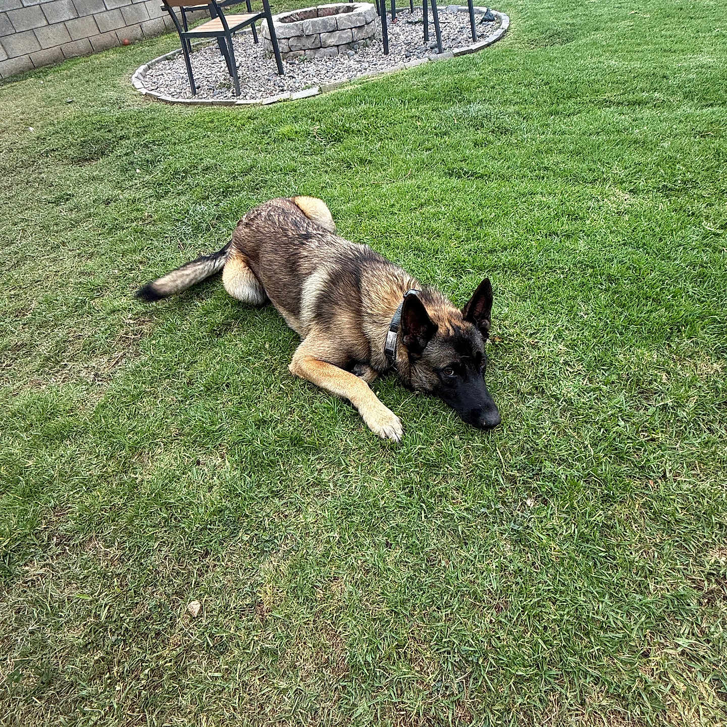 Ruger