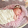 Solé a rejoint le concours — aidez-le/la à gagner de superbes lots ! newborn, baby, sleeping, blanket, headband, bow, flower, pink, purple, soft, cushion, wrapped, peaceful, portrait, infant, cute, delicate, resting, closeup, tender