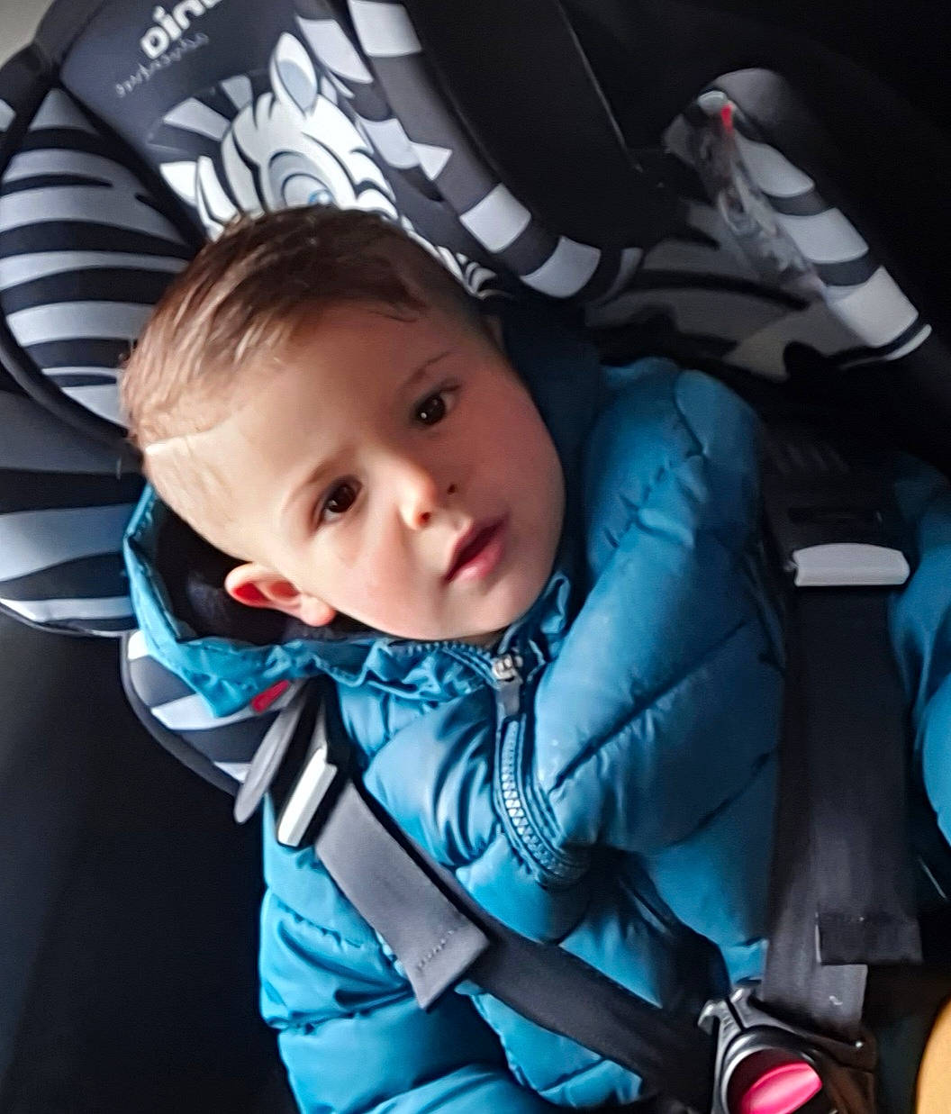 Noah a rejoint le concours — aidez-le/la à gagner de superbes lots ! baby, baby_carriage, baby_in_car_seat, baby_products, baby_toddler_clothing, car_seat, carmine, cheek, child, comfort, cool, electric_blue, fashion_accessory, flash_photography, fun, happy, outerwear, pattern, person, sitting