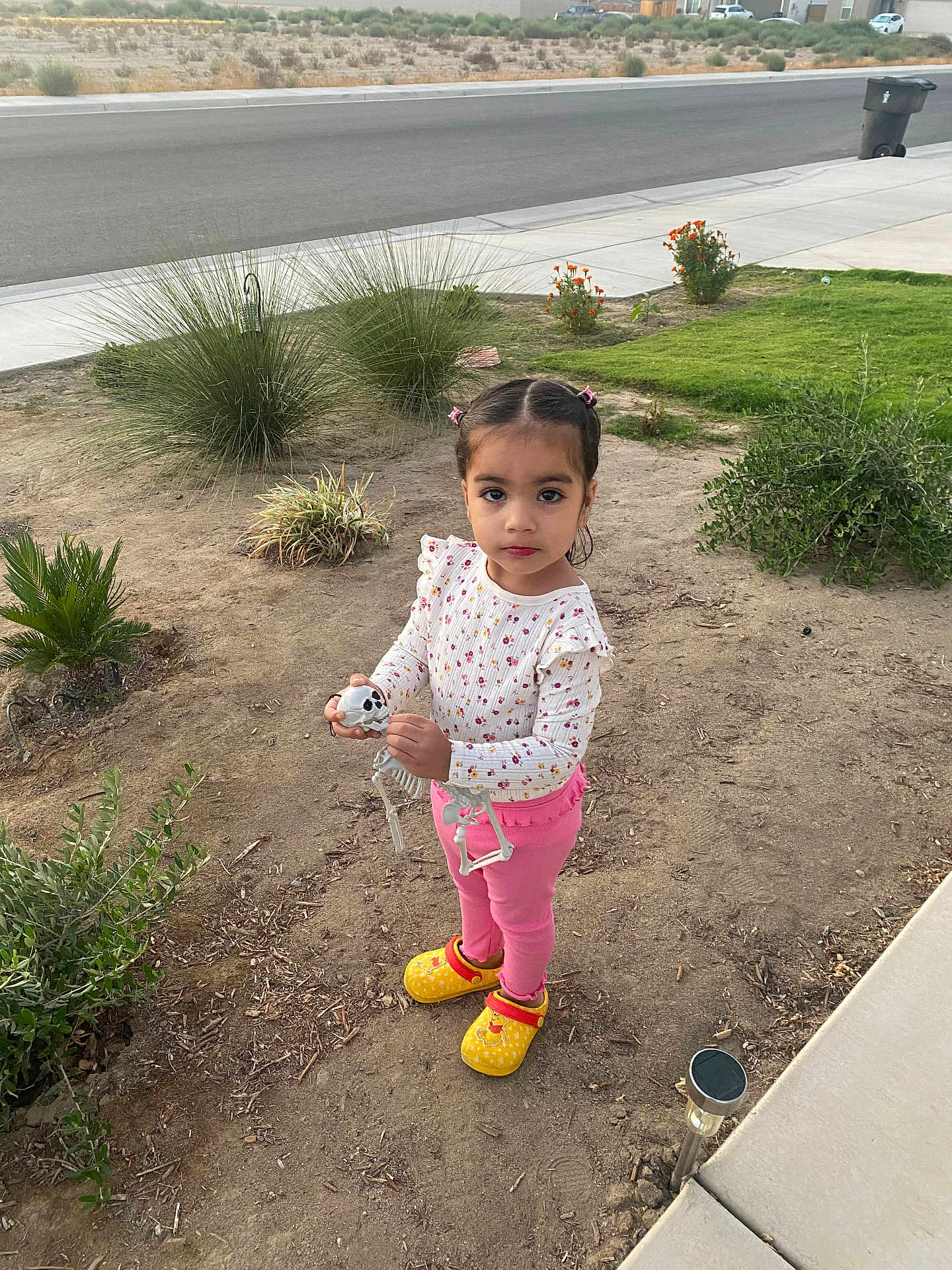Harnaaz joined the competition — help win amazing prizes! child, girl, toy, skeleton_toy, outdoor, sidewalk, plants, dirt, yellow_shoes, pink_pants, long_sleeve_shirt, hair_ties, curious, standing, daytime, residential_area, greenery, small_plants, casual_clothing, expression