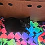 animal, black_cat, blanket, cardboard_box, cat, colorful, cozy, curious, cute, domestic, fleece, fur, indoor, kitten, pet, resting, sleeping_spot, small, soft_texture, young