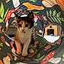 kitten, calico, cat, play_tunnel, indoor, pet, curious, colorful, mushroom_pattern, leaf_pattern, animal, young, small, cute, fur, whiskers, eyes, paws, floor, home