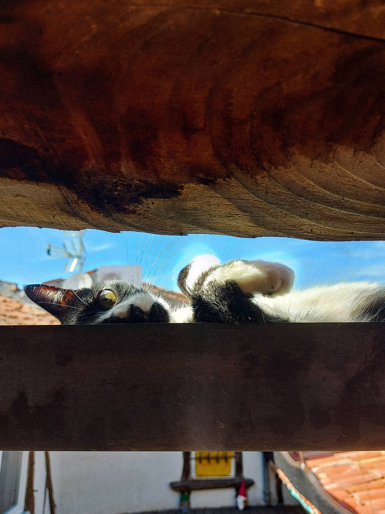 Yuki participe au concours pour gagner de l'argent avec cette photo : auto_part, automotive_exterior, automotive_tire, automotive_wheel_system, beam, ceiling, landscape, leisure, metal, rock, roof, shade, shadow, sky, tints_and_shades, wildlife, wing, winter, wood