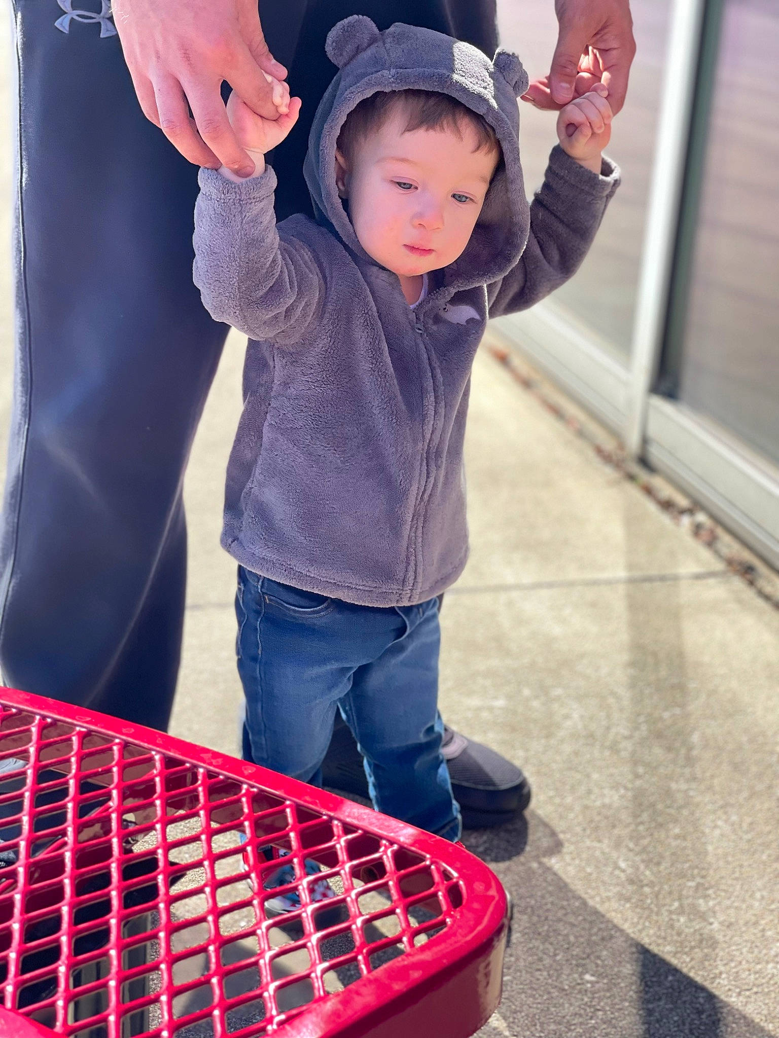 Brantley is registered to the contest to win money with this photo: automotive_design, baby_toddler_clothing, beauty, cap, eye, grille, happy, jacket, leisure, person, photograph, pink, product, purple, red, shopping_cart, sleeve, snapshot, textile, toddler