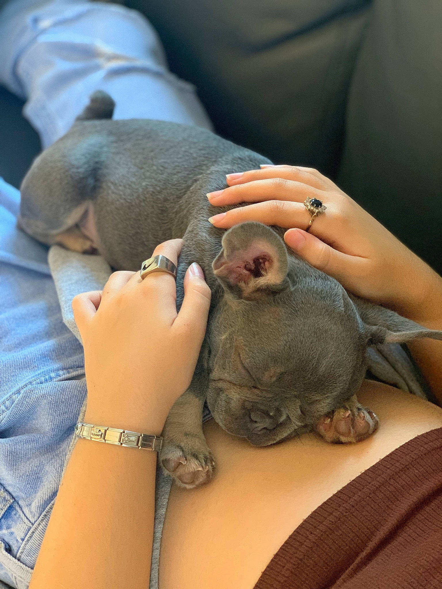 Bunny joined the competition — help win amazing prizes! child, comfort, elbow, finger, gesture, hand, human_leg, joint, mammal, medical_glove, nail, safety_glove, skin, snout, temporary_tattoo, thumb, toy, wildlife_biologist, wrinkle, wrist