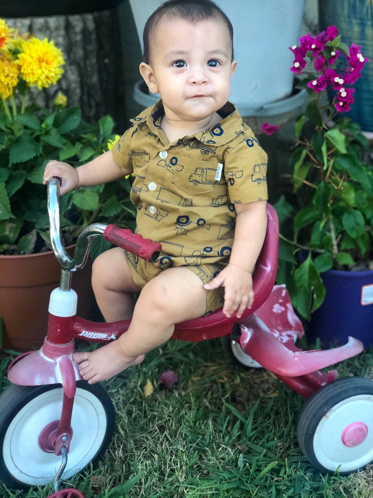 Eduardo Jiménez is registered to the contest to win money with this photo: child, child_model, flower, grass, leg, person, plant, sitting, toddler, tricycle, vehicle