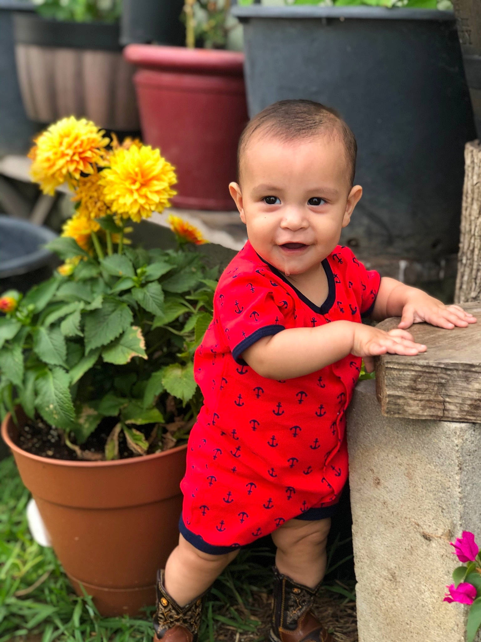 Eduardo Jiménez is registered to the contest to win money with this photo: child, face, flower, flowerpot, garden, joy, perennial_plant, person, plant, smile, standing, summer, toddler, yellow